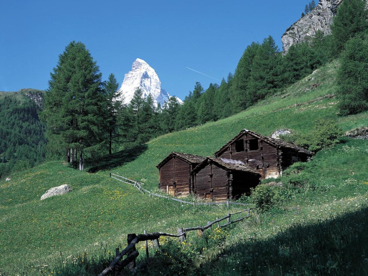 Apartment Zur Matte B-1 Zermatt Extérieur photo
